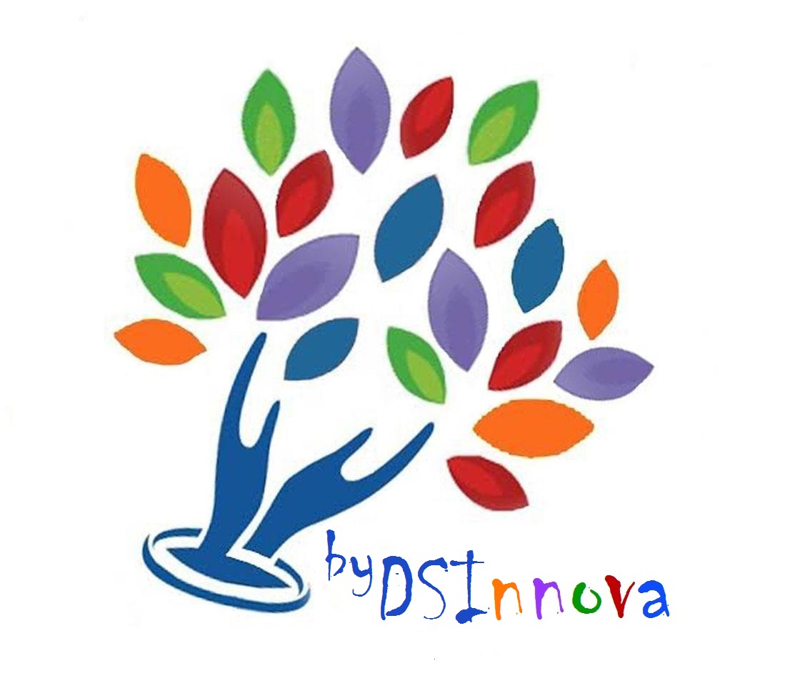 Logo DSInnova